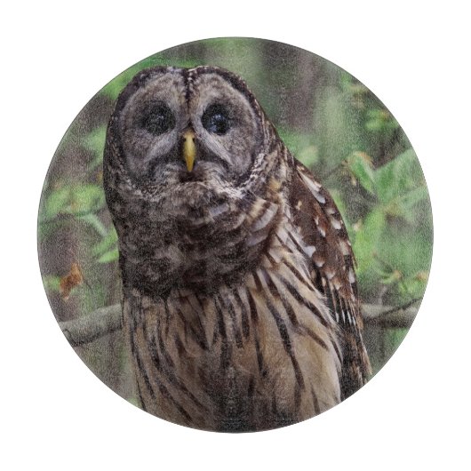 Barred Owl Snijplank (Voorkant)