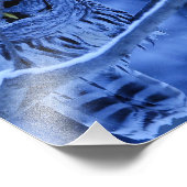 Barred Owl Snow Storm Foto Afdruk (Hoek)