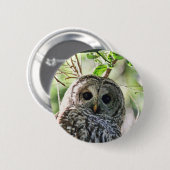 Barred Owl Staring Ronde Button 5,7 Cm (Voorkant /achterkant)