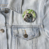 Barred Owl Staring Ronde Button 5,7 Cm (In situ)