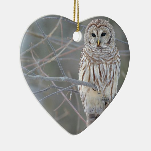 Barred Owl Strix Varia Keramisch Ornament (Rechts)