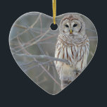 Barred Owl Strix Varia Keramisch Ornament<br><div class="desc">Barred Owl Strix Varia. Dit afbeelding is in licentie gegeven onder de licentie Creative Commons Attribution-Share Alike 3.0 Unported. Auteur: MDF http://commons.wikimedia.org/wiki/User:Mdf http://commons.wikimedia.org/wiki/File:Strix-varia-005.jpg</div>