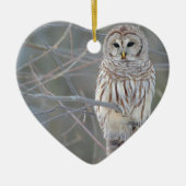 Barred Owl Strix Varia Keramisch Ornament (Voorkant)
