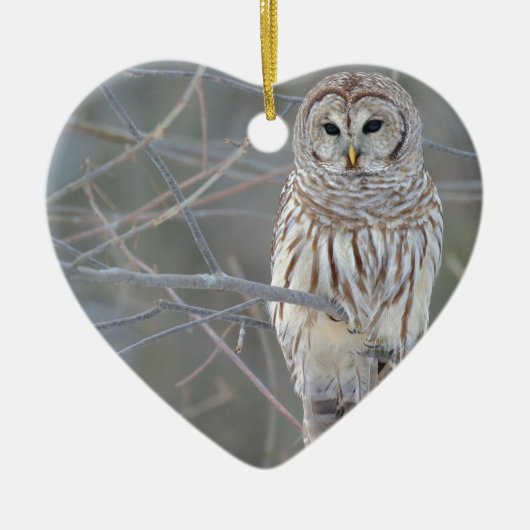 Barred Owl Strix Varia Keramisch Ornament (Voorkant)