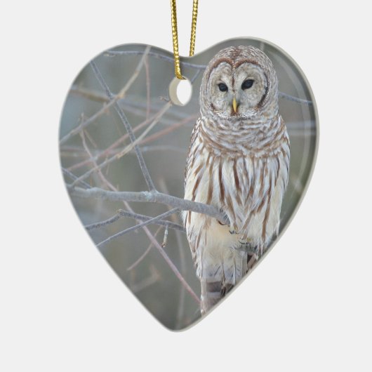 Barred Owl Strix Varia Keramisch Ornament (Links)