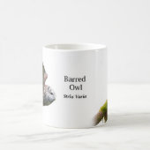 Barred Owl Strix varia Koffiemok (Center)