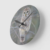 Barred Owl Strix Varia Ronde Klok (Hoek)