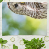 Barred Owl Theedoek (Gevouwen)