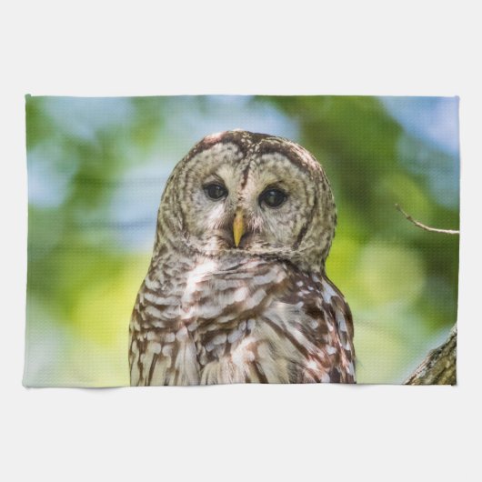 Barred Owl Theedoek (Horizontaal)