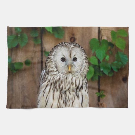 Barred Owl Theedoek (Horizontaal)