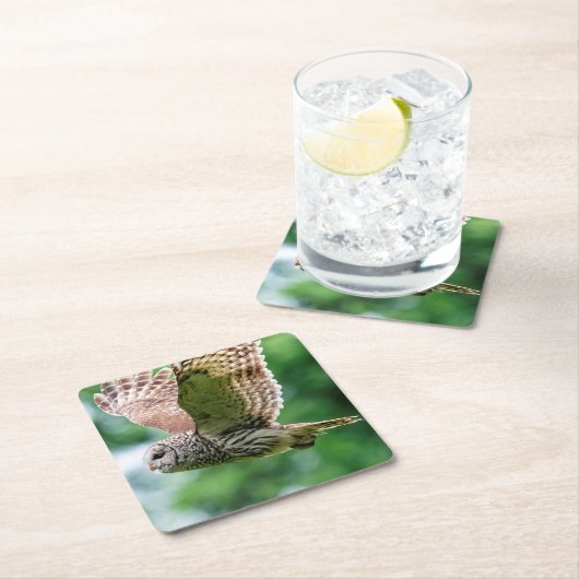 Barred Owl tijdens de vlucht Kartonnen Onderzetters (Insitu)