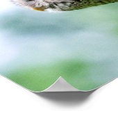 Barred Owl tijdens de vlucht Poster (Hoek)