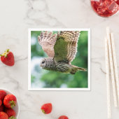 Barred Owl tijdens de vlucht Servetten (Insitu)