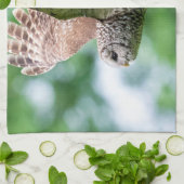 Barred Owl tijdens de vlucht Theedoek (Gevouwen)