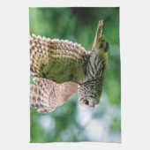 Barred Owl tijdens de vlucht Theedoek (Verticaal)