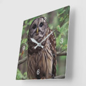 Barred Owl Vierkante Klok (Hoek)