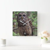Barred Owl Vierkante Klok (Huis)