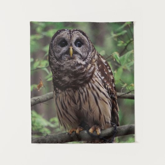 Barred Owl Wandkleed (Voorkant)
