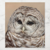 Barred Owl Wijn Etiket (Enkel label)