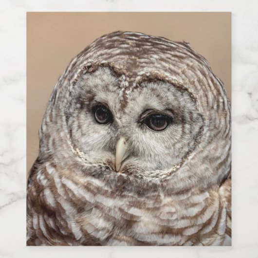 Barred Owl Wijn Etiket (Enkel label)