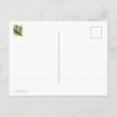 Barred Owlets Springtime Briefkaart (Achterkant)