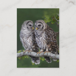 Barred Owls Birder's Wildlife Visitekaartje