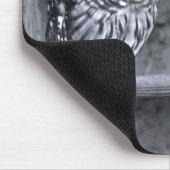 Barred Owls Muismat (Hoek)