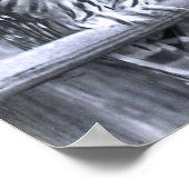 Barred Owls Poster (Hoek)