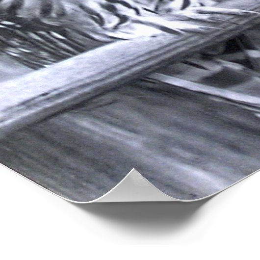 Barred Owls Poster (Hoek)