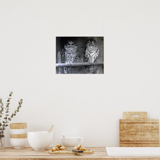 Barred Owls Poster (Keuken)