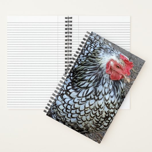 Barred Plymouth Rock Chicken Notitieboek (Binnen)