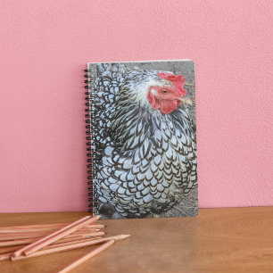Barred Plymouth Rock Chicken Notitieboek