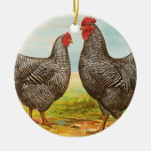  Barred Plymouth Rock Chickens Ornament (Voorkant)