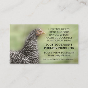 Barred Rock Chicken Egg Farmer Visitekaartje