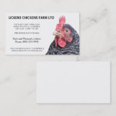 Barred Rock Chicken Egg Farmer Visitekaartje (Voorkant / Achterkant)