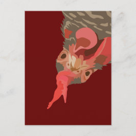 Barred-Rock Hen Briefkaart