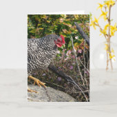 Barred Rock Hen Kaart (Gele Bloem)