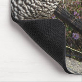 Barred Rock Hen Muismat (Hoek)