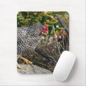 Barred Rock Hen Muismat (Met muis)