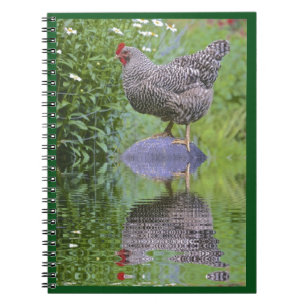Barred Rock Hen Notitieboek
