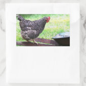 Barred Rock hen op kruiwagen Sticker (Tas)