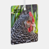 Barred Rock Hen - Pet Chicken Metalen Ornament (Voorkant Rechts)