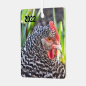 Barred Rock Hen - Pet Chicken Metalen Ornament (Voorkant links)