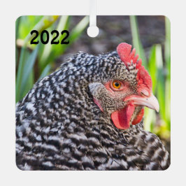 Barred Rock Hen - Pet Chicken Metalen Ornament