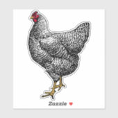  Barred Rock Plymouth Chicken Sticker (Vel)