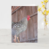Barred Rock Rooster in een oude Barn Kaart (Gele Bloem)