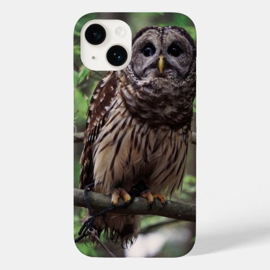 Barred Uil iPhone 14 Hoes (Achterkant)