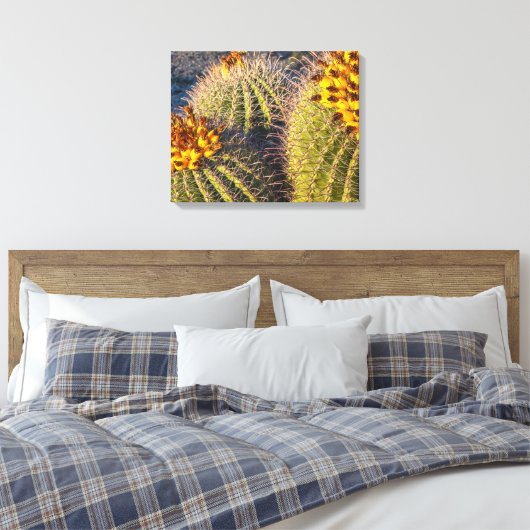 Barrel Cacti Canvas Afdruk (Insitu (Slaapkamer))