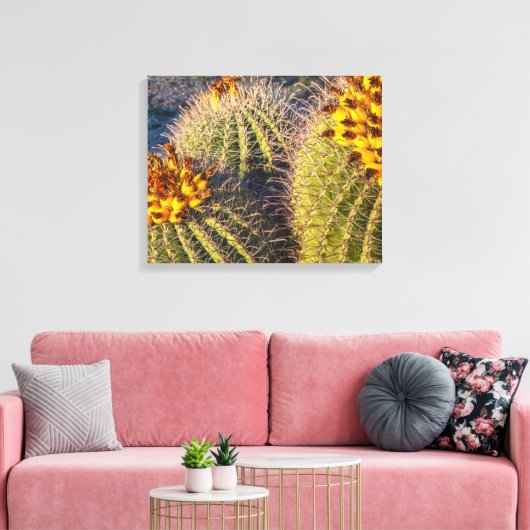 Barrel Cacti Canvas Afdruk (Insitu (Woonkamer))