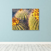 Barrel Cacti Canvas Afdruk (Insitu (Houten vloer))